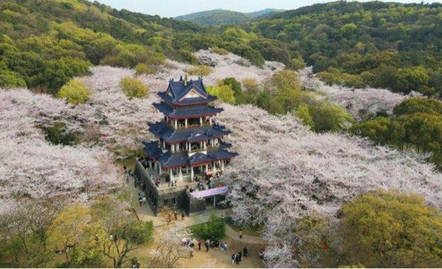 旅游无锡十大特色景区介绍（无锡标志性景区盘点）  3