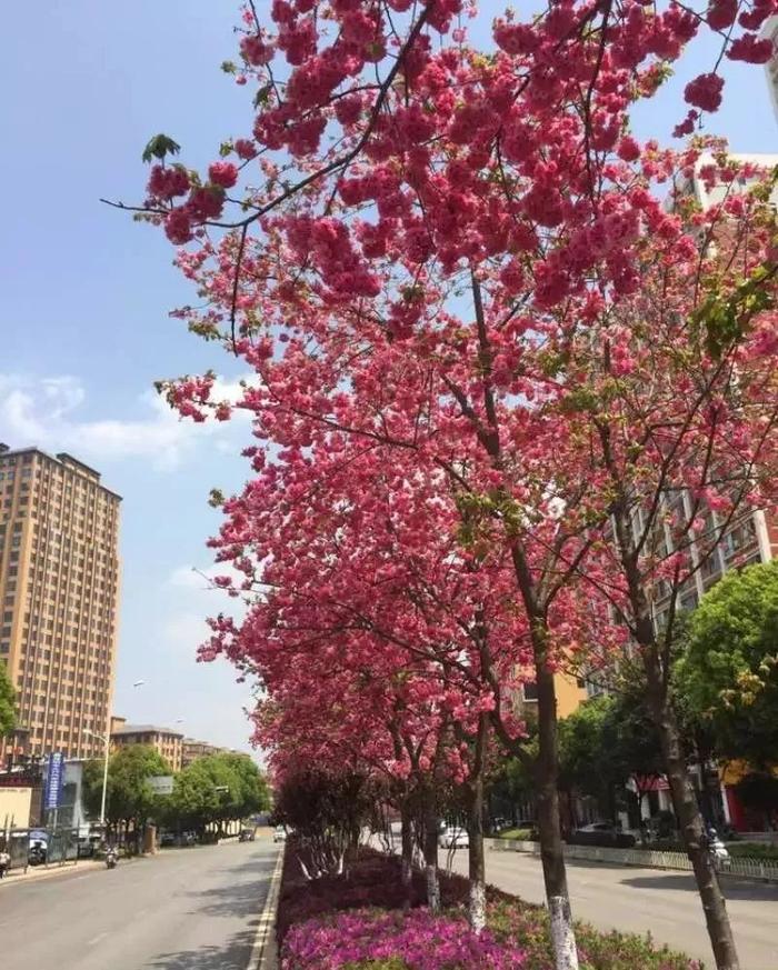 昆明10大最地道的美食街，走过路过你一定胖过！