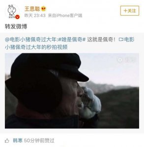 ​王思聪转发的《啥是佩奇》，凭什么能全网刷屏？