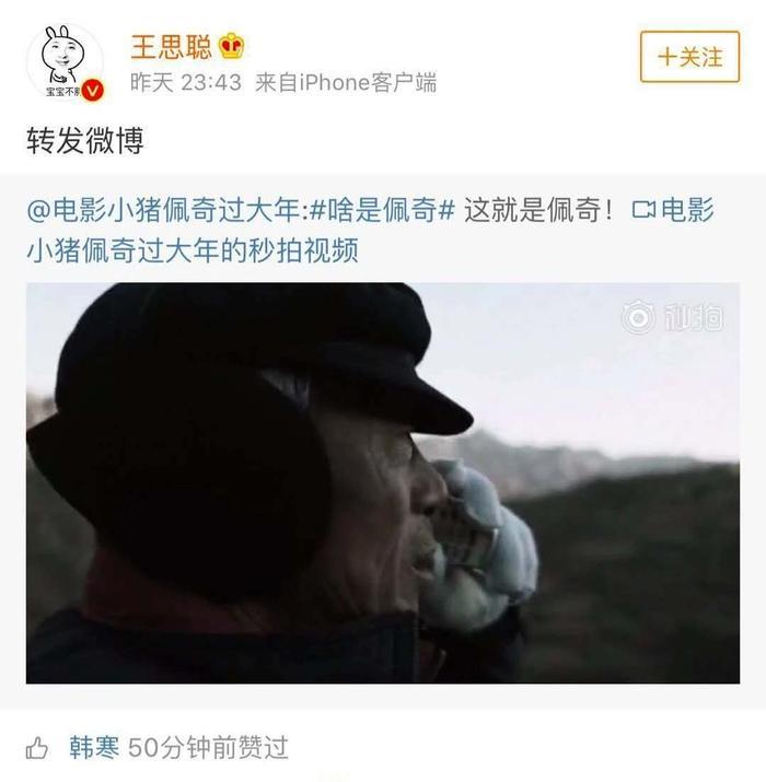 王思聪转发的《啥是佩奇》，凭什么能全网刷屏？