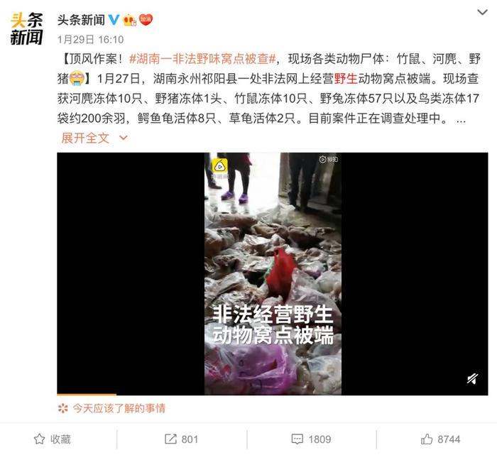 董卿又刷爆微博了，她说的这句话让无数人尖叫……