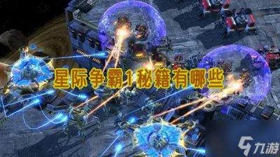 ​星际争霸1秘籍有什么