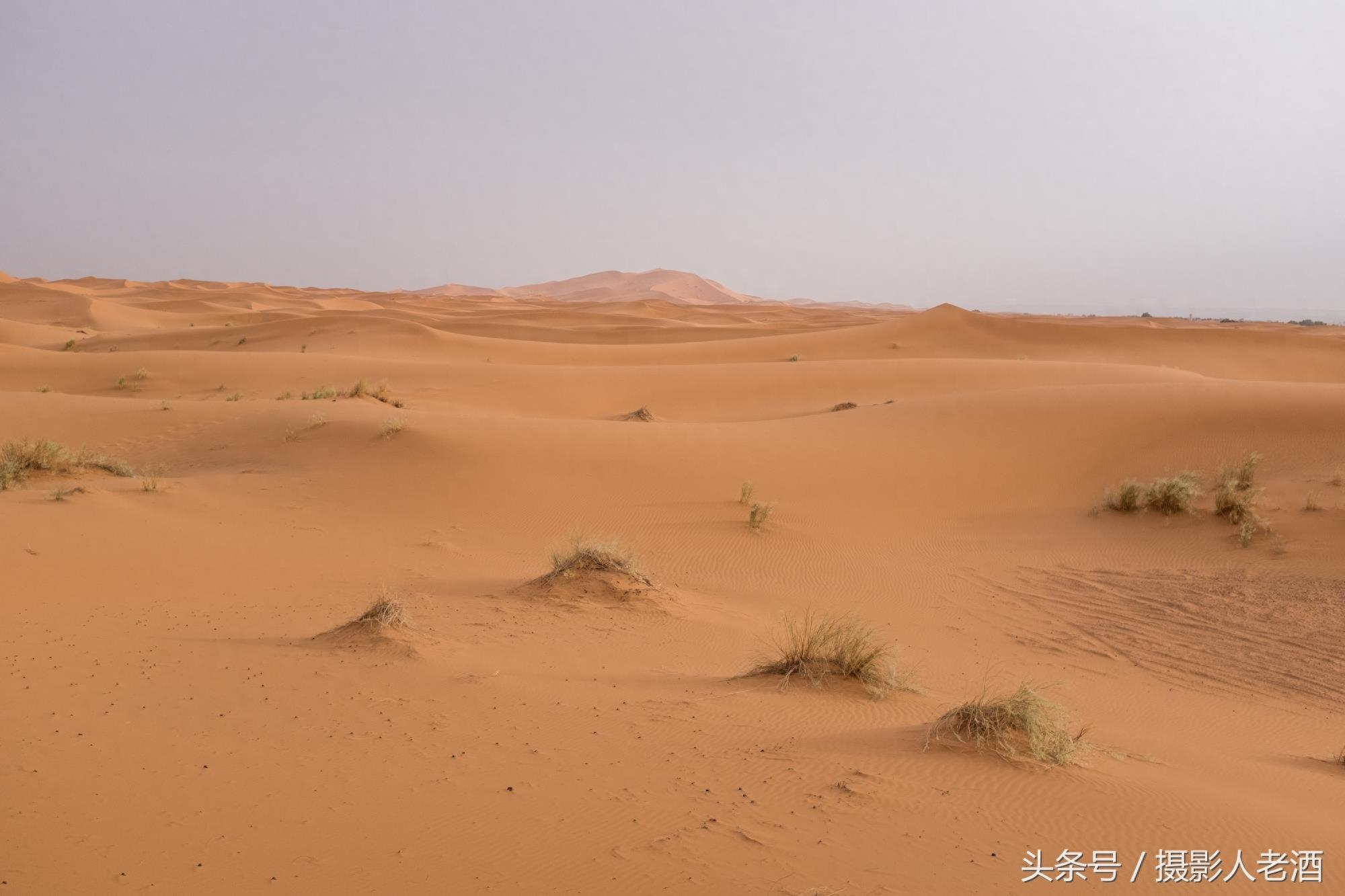 实拍三毛到过的北非摩洛哥撒哈拉沙漠，原来大沙漠中也不全是沙