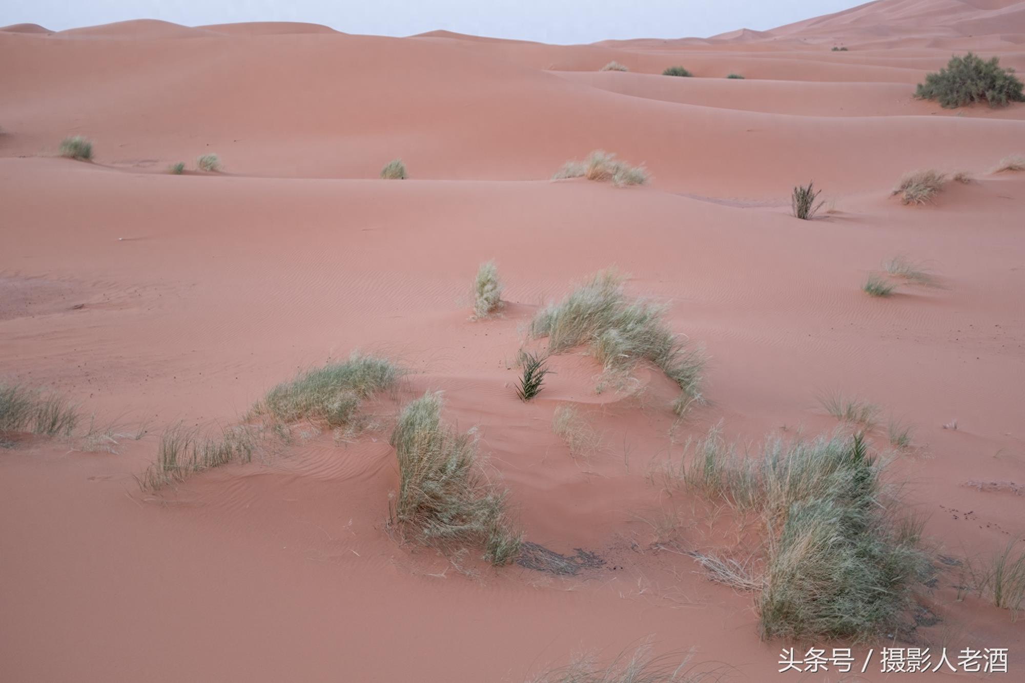 实拍三毛到过的北非摩洛哥撒哈拉沙漠，原来大沙漠中也不全是沙