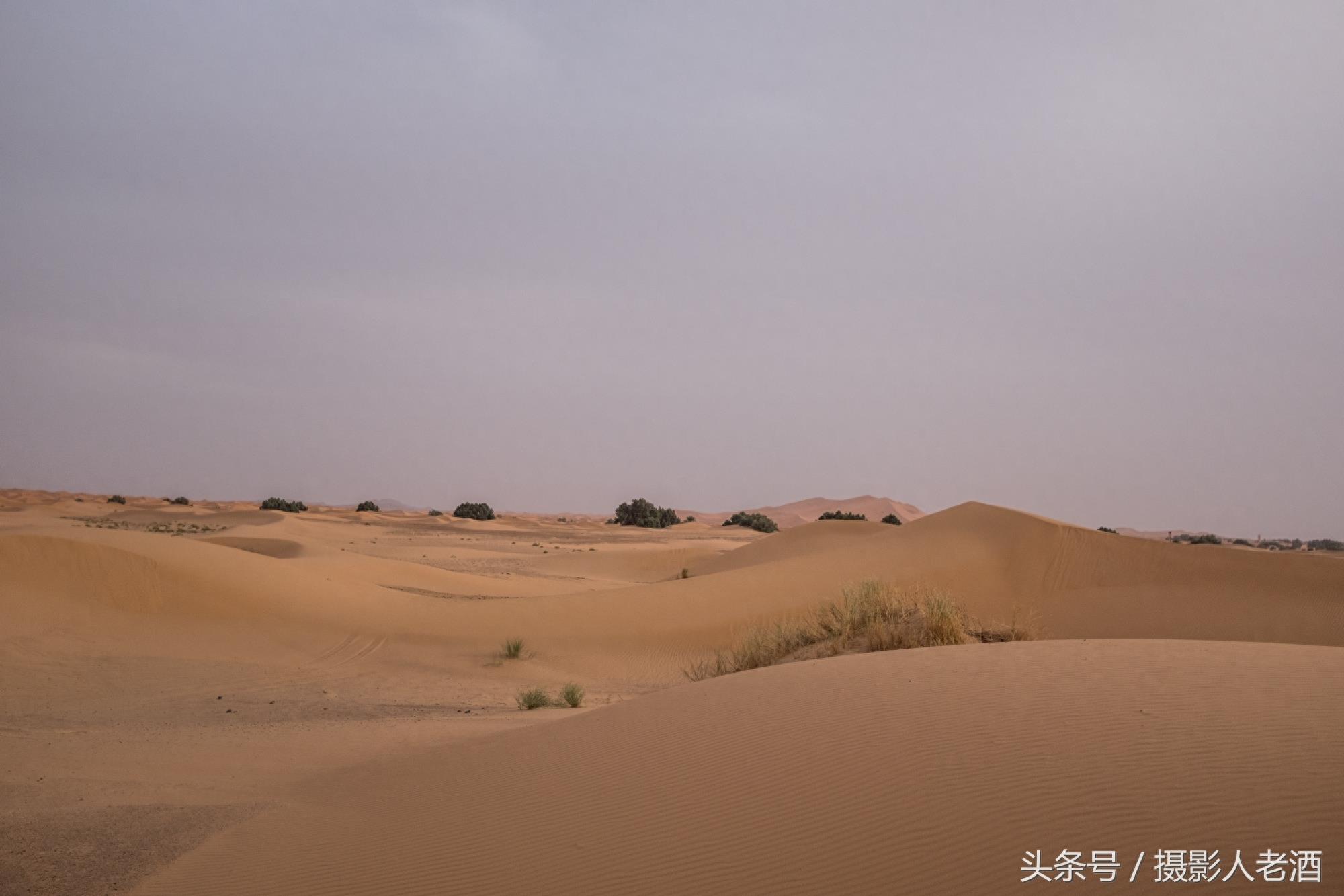 实拍三毛到过的北非摩洛哥撒哈拉沙漠，原来大沙漠中也不全是沙