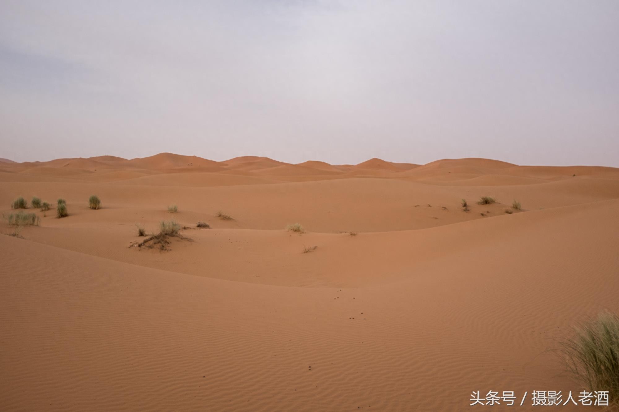 实拍三毛到过的北非摩洛哥撒哈拉沙漠，原来大沙漠中也不全是沙