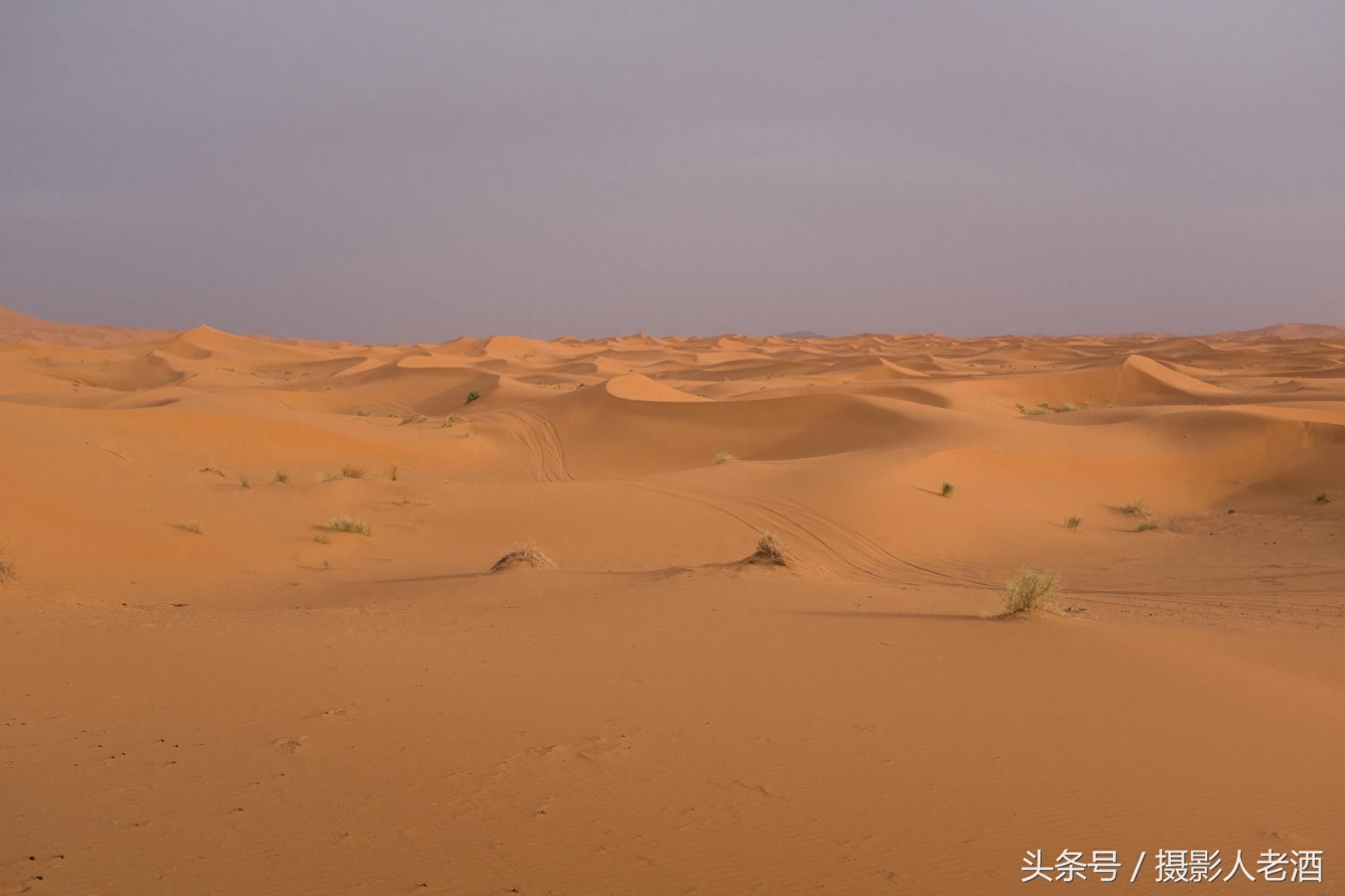 实拍三毛到过的北非摩洛哥撒哈拉沙漠，原来大沙漠中也不全是沙